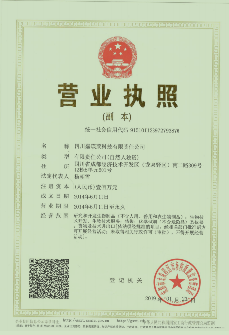 Corporate Honor & Certificate (3)
